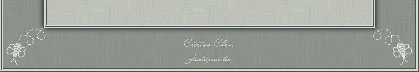 Chamminou vous invite et Juste pour toi ne sont pas responsables du contenu de cette page.
